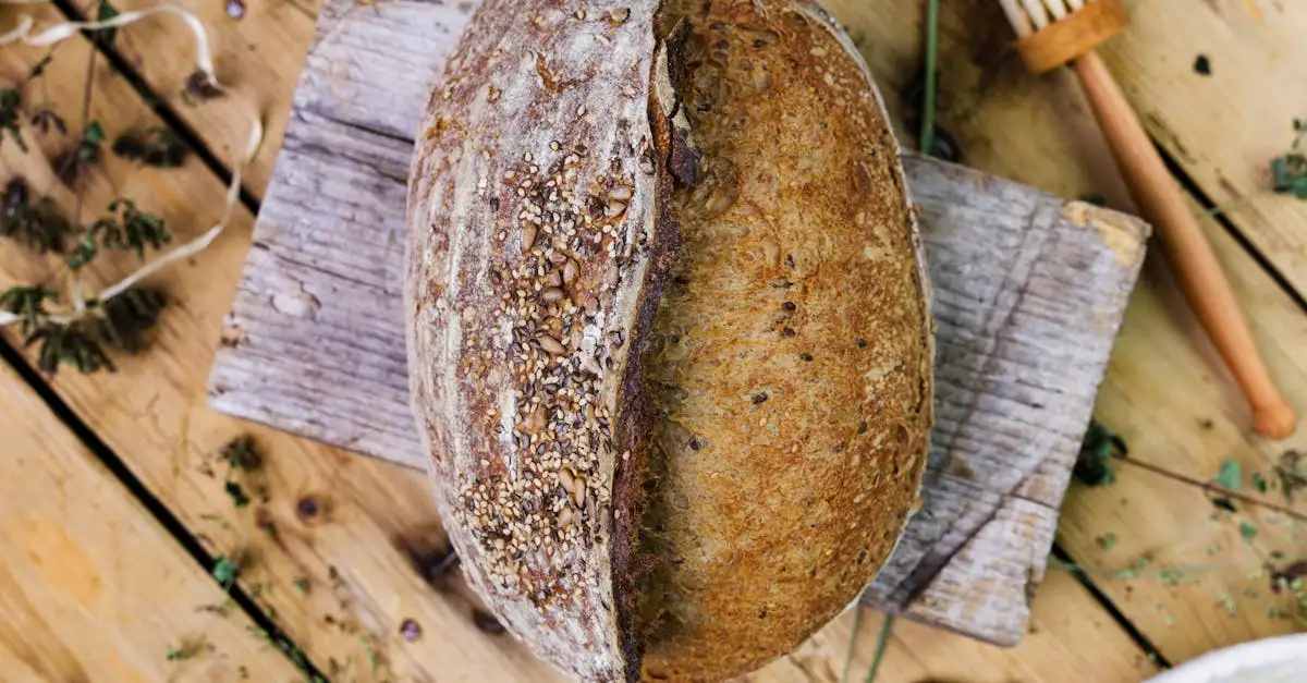 Biologisch brood
