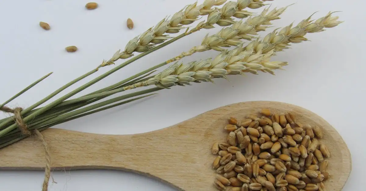 Brood ingredienten