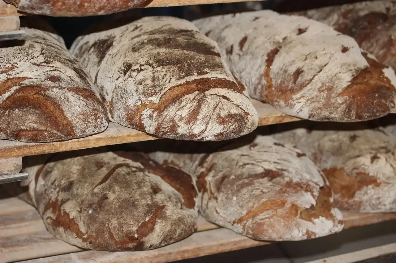 Brood laten rijzen