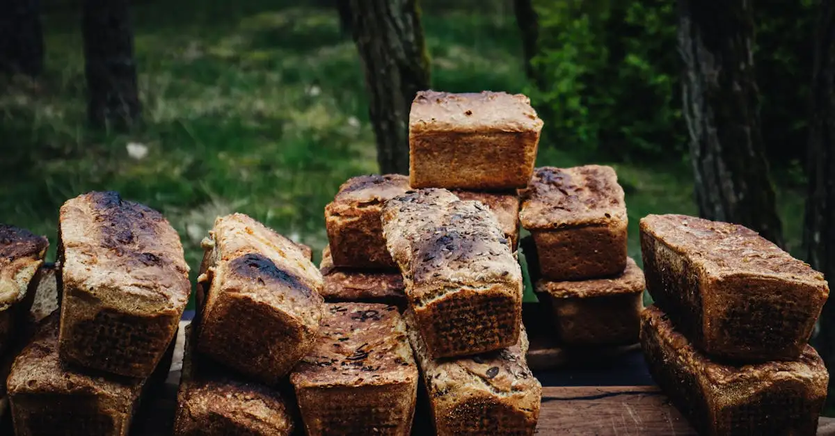 Donker volkoren brood