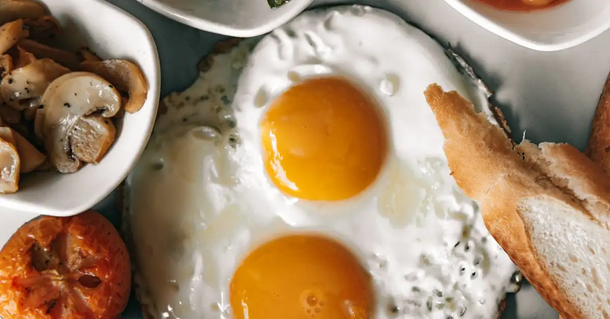 Zit er eiwit in brood