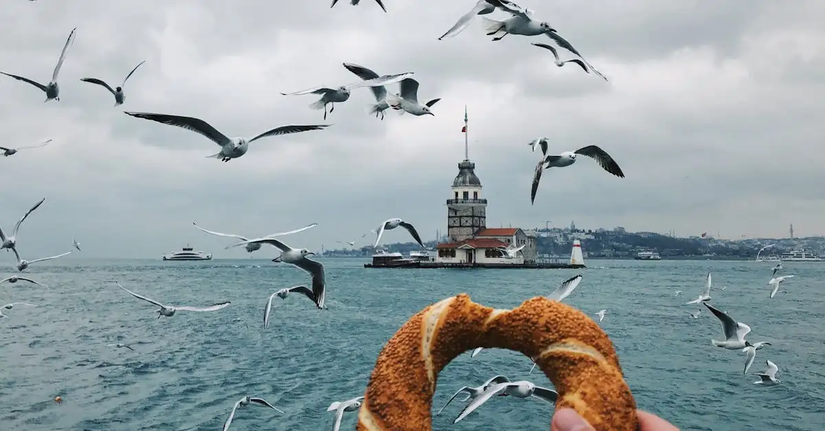 Mogen vogels brood eten? Wat zijn de risico’s?