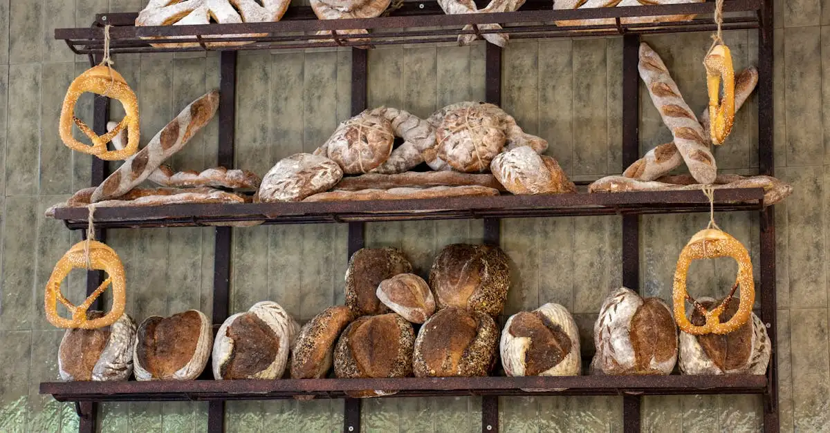 Nederlands brood