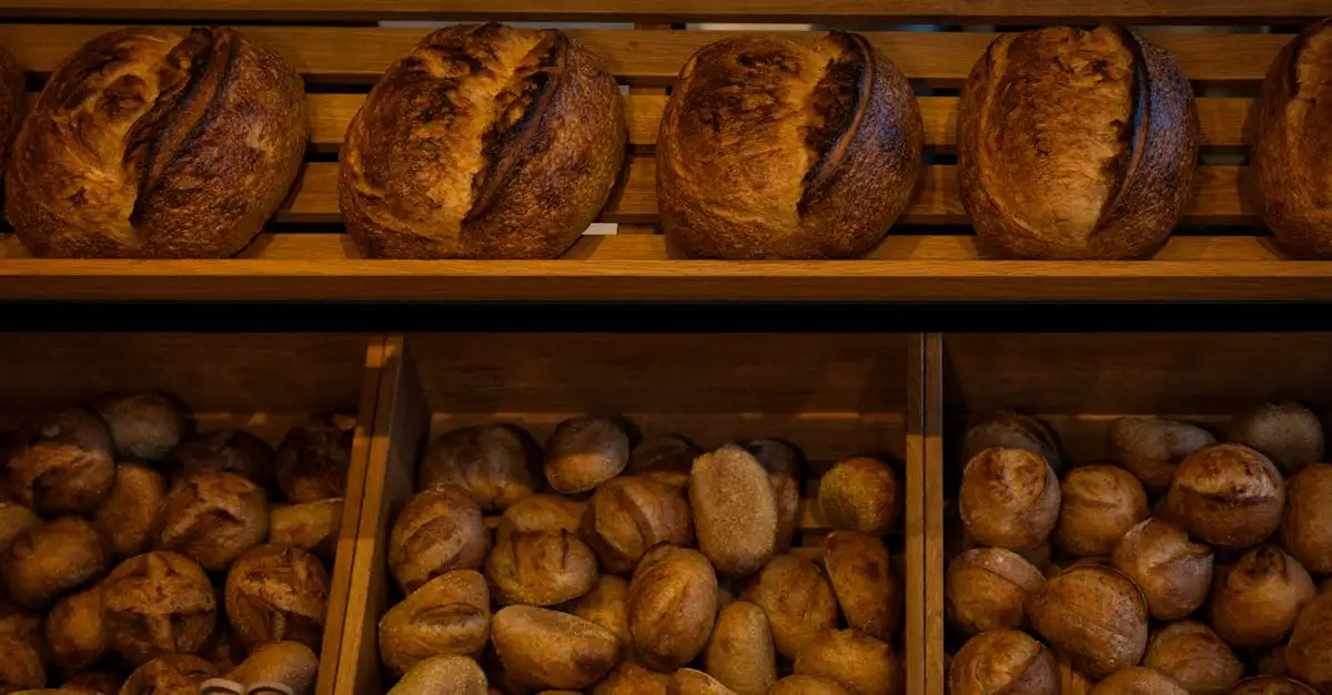 Broodsoorten soorten brood