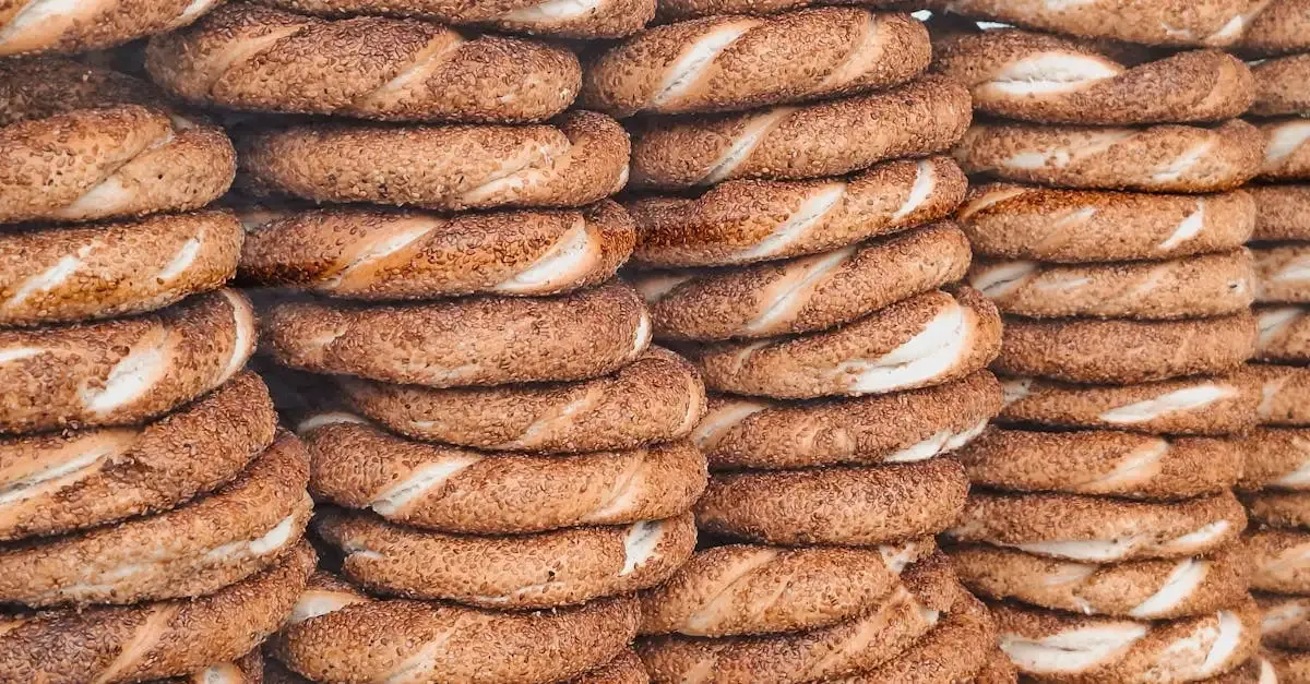 Schar brood