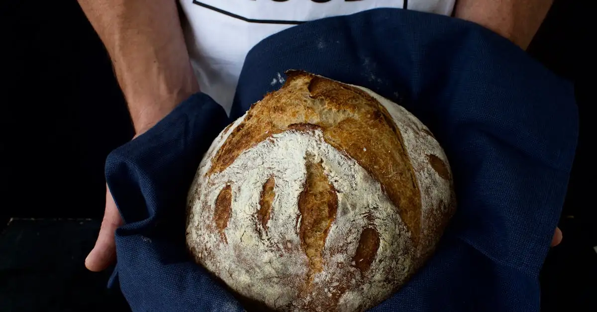 Zuurdesem brood amsterdam